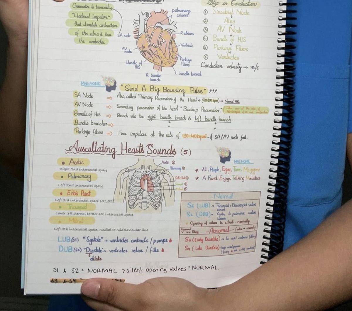 Nurse in scrubs holding the open bundle at the cardiac overview page
