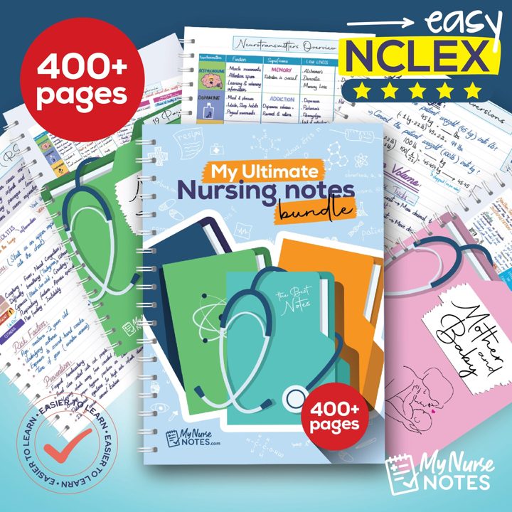 Nursing Notes Bundle