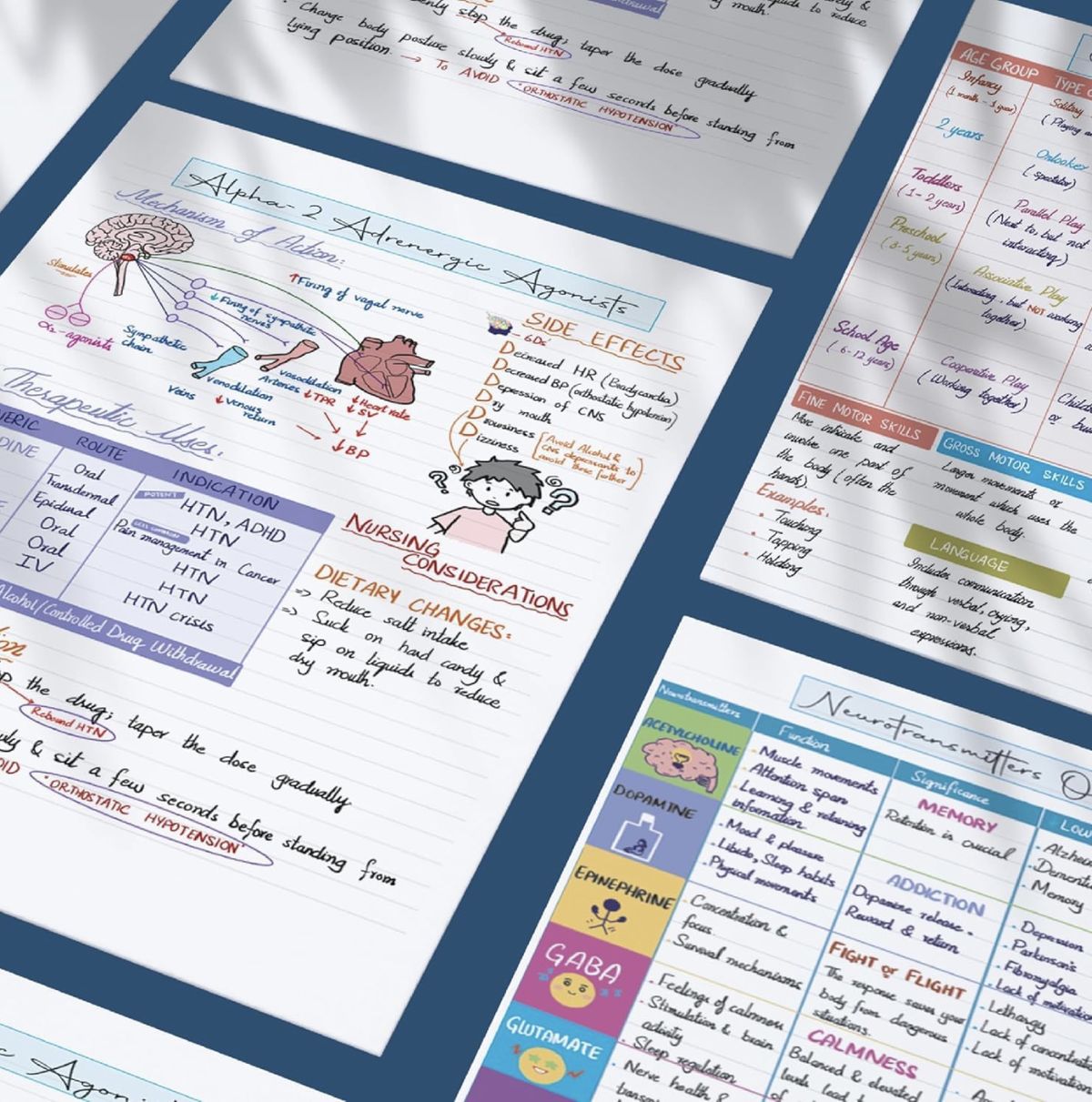 Spread of handwritten pages: alpha-2 adrenergic agonists with heart diagram, neurotransmitters table, paediatric play milestones